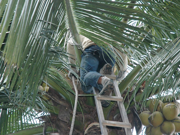 ಕಷ್ಟದಲ್ಲಿರುವ ಜನ ಸಮೂಹ ಕಷ್ಟದಲ್ಲಿರುವ ಜನ ಸಮೂಹ