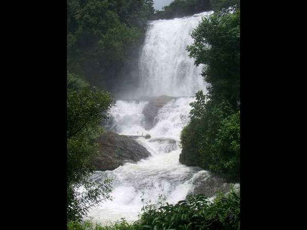 ಪ್ರವಾಸಿಗರ ಅತಿರೇಕದ ವರ್ತನೆ