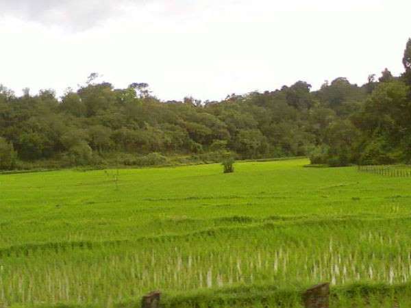 ಮೀಸೆ ಮೊಳೆವಾಗ ಹುಟ್ಟಿದ ಮಗ ಕೈಗೆ ಬಂದಂತೆ ಮೀಸೆ ಮೊಳೆವಾಗ ಹುಟ್ಟಿದ ಮಗ ಕೈಗೆ ಬಂದಂತೆ