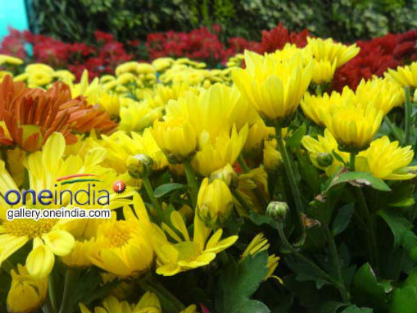 ವಾಸಯೋಗ್ಯ ಪ್ರದೇಶದ ಗುರುತು 