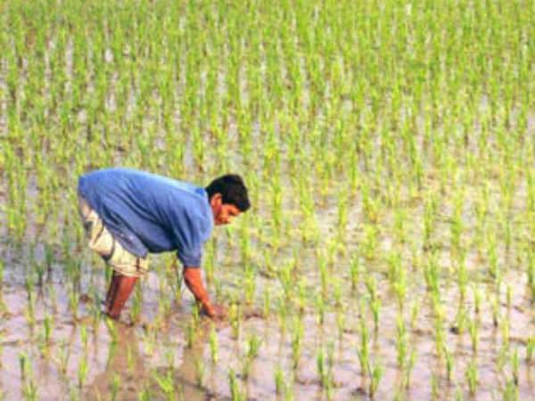 Union cabinet decided to give crop loans upto Rs. 3 lakhs at 4% interest rate Union cabinet decided to give crop loans upto Rs. 3 lakhs at 4% interest rate