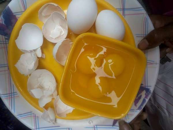 plastic egg found in Magadi