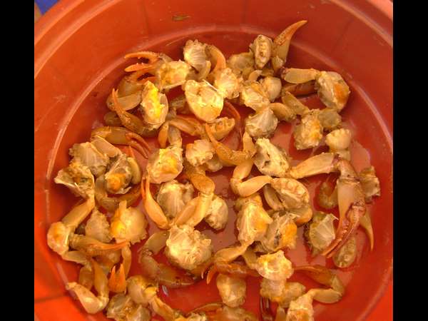 Mouth watering recipe on Crab