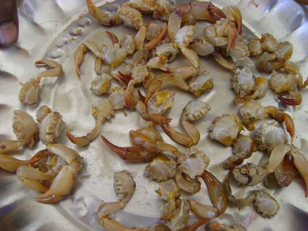 Mouth watering recipe on Crab