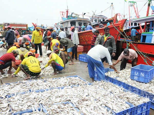 Fish prices spike to all-time high in Dakshina Kannada due to closure of Harbor 