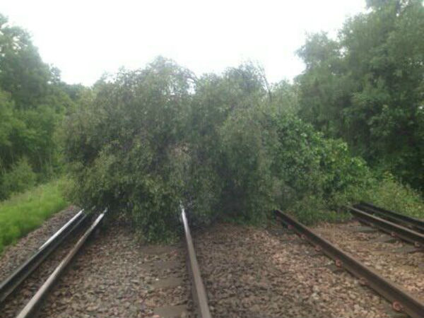 Heavy rain in Mangaluru-Hassan : Tree falls on railway track Heavy rain in Mangaluru-Hassan : Tree falls on railway track