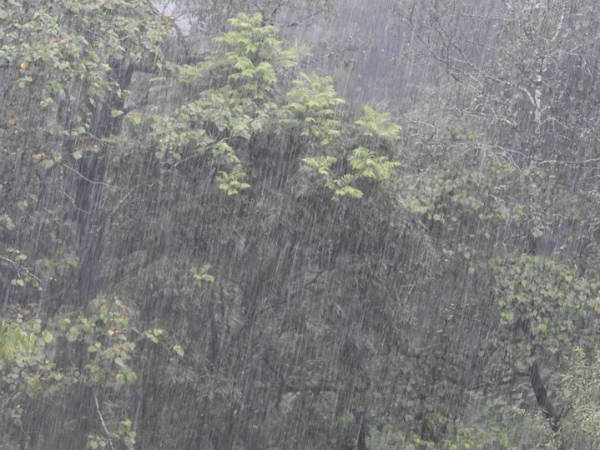 ಇಲ್ಲಿ ಗೌಜು ಗದ್ದಲವಿಲ್ಲ