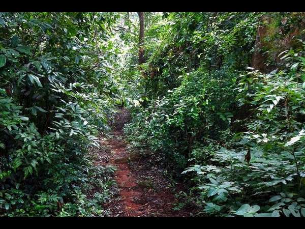 ಗುಡಿಕಟ್ಟುವುದೂ ನಿಷಿದ್ಧ