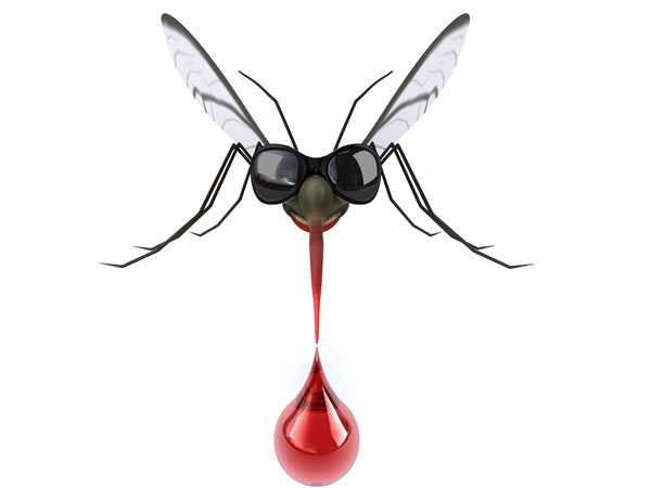 ಅವು ಏಕೆ ಕಡಿಯುತ್ತವೆ ಗೊತ್ತೆ?