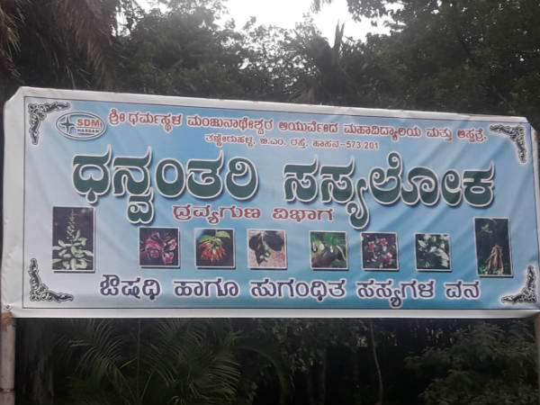 ಧನ್ವಂತರಿ ಸಸ್ಯಲೋಕದಲ್ಲಿ ಶಂಕುಹುಳ