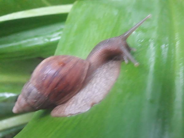  ಪರಿಹಾರವೇನು? 