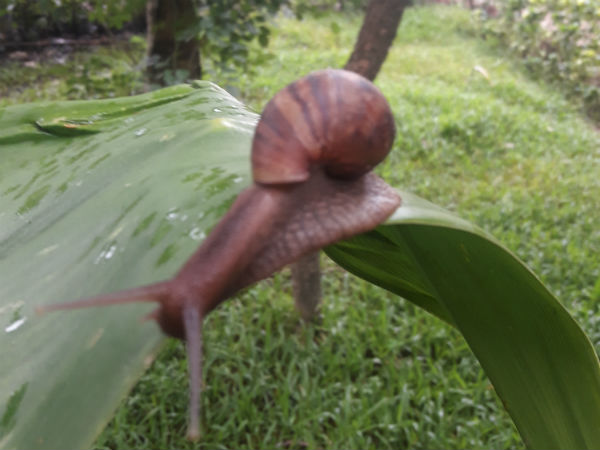 ಕಂಗೆಟ್ಟ ಸೋಮವಾರಪೇಟೆ ಜನ