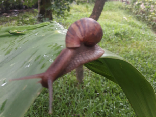 ಆರೋಗ್ಯದ ಮೇಲೂ ಹಾನಿ