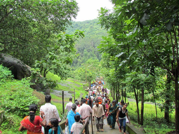 ಕರಾವಳಿಗೂ-ಮಲೆನಾಡಿಗೂ ನಂಟು