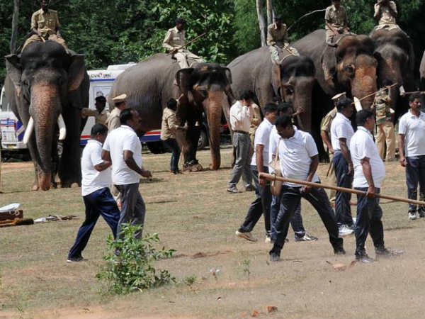  ಈ ಬಾರಿ ಎಂಟು ಆನೆಗಳು ಭಾಗಿ