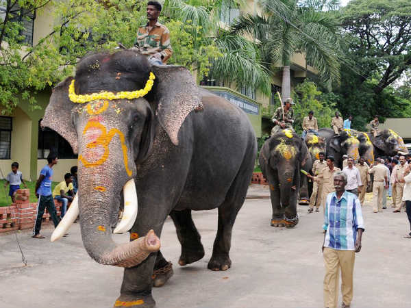  ಆ.14ರಂದು ಅರಮನೆಗೆ ಆಗಮನ