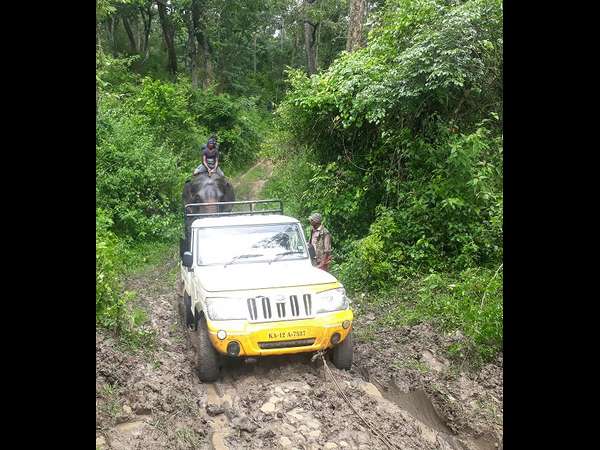 Pickup vehicle toe by elephant Abhimanyu