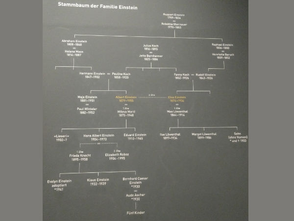 Exploring Albert Einstein : Life of a Genius