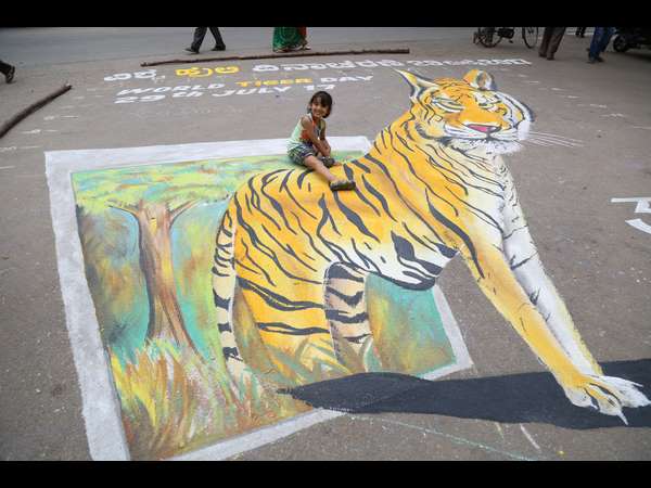 A painter in Mysuru has painted a tiger's 3D image infront of Mysuru