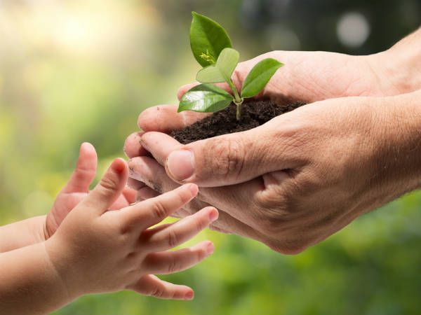 12000 saplings planted in 2 minutes in Haveri on July 9 12000 saplings planted in 2 minutes in Haveri on July 9