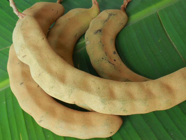 ಮಾಡಬಹುದಾದದ್ದು ಈ ಗೊಜ್ಜುಗಳು