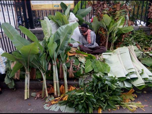 ಬಾಳೆ ಎಲೆ- ವೀಳ್ಯದೆಲೆ