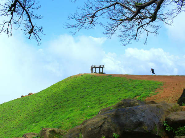 ನಾಕಕ್ಕೆ ಮೂರೇ ಗೇಣು!