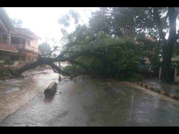 ಬಿಬಿಎಂಪಿ ಸಹಾಯದಿಂದ ಮರ ತೆರವು 
