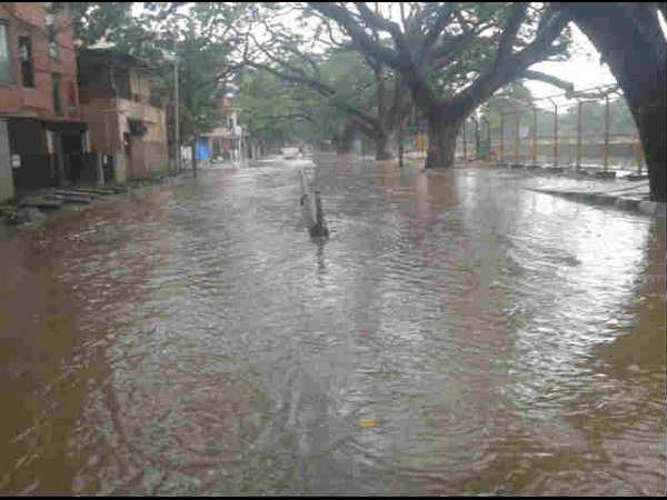 ಹೆದರಿದ ವಾಹನ ಸವಾರರು 