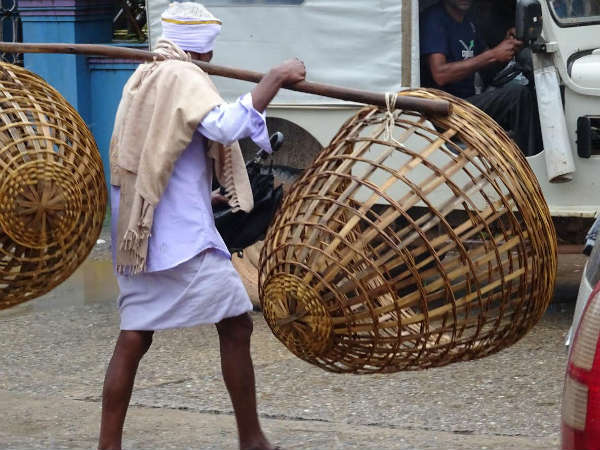 ಭತ್ತ ಬೆಳೆಯಲು ಭಯ