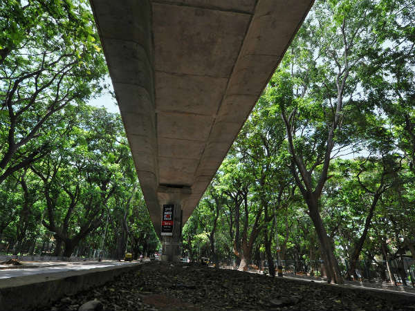 ಹಸಿರ ನಡುವಲ್ಲಿ ದೈತ್ಯ ಮೆಟ್ರೋ ರಸ್ತೆ!
