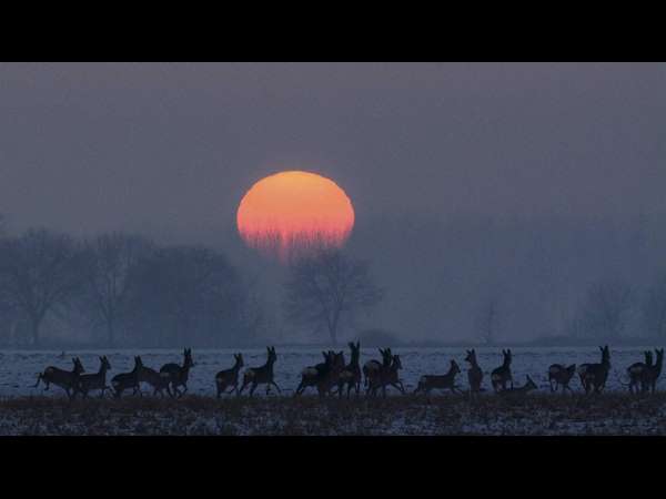 ಸಂಧ್ಯಾರಾಗಕ್ಕೆ ಹೆಜ್ಜೆಯ ಸಾಥ್!