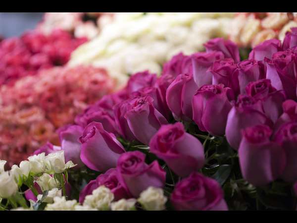 ಗುಡಿಗೋ, ಮುಡಿಗೋ..!