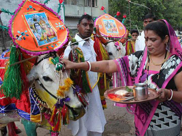 Bidar, Vijayapura and Klaburagi celebrating Pola habba