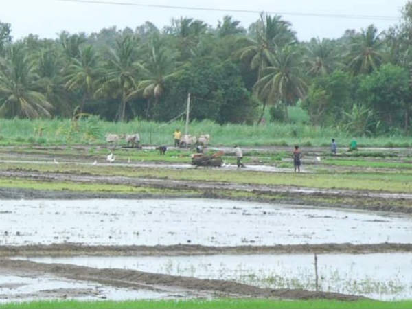 ಸರಕಾರದಿಂದ ಜನಜಾಗೃತಿ