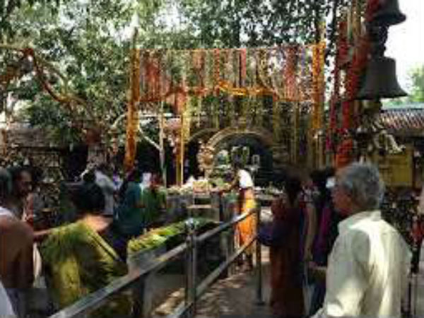 ಹಣ್ಣು, ತರಕಾರಿ ಮಾಲೆ ಸಮರ್ಪಣೆ