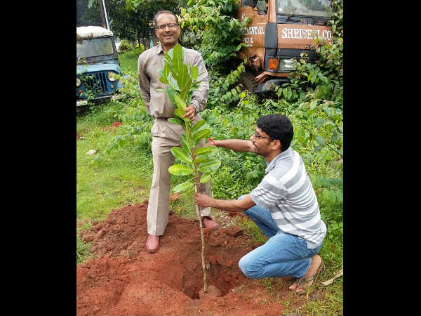 ಯಾವ-ಯಾವ ಗಿಡಗಳನ್ನು ನೆಟ್ಟರು? 