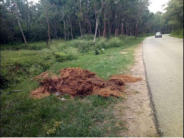 Is Bandipur a garbage tank for Keralites?