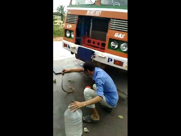 Snake found inside the cabin of Gas Tanker truck at Uppinangady Snake found inside the cabin of Gas Tanker truck at Uppinangady