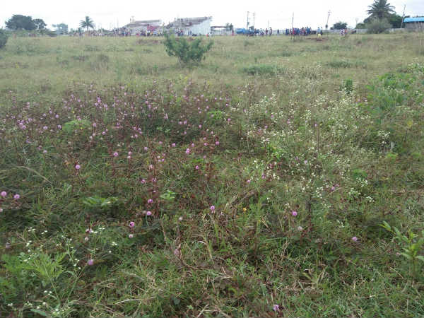 Lack of maintenance, Piriyapattan ground damaged