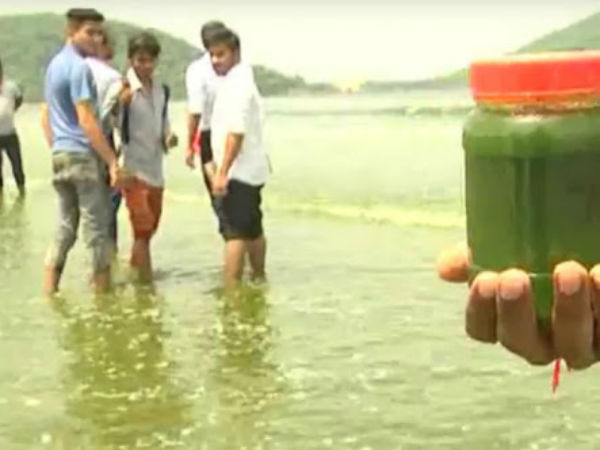 Karwar sea turns green - Fishermen in fear