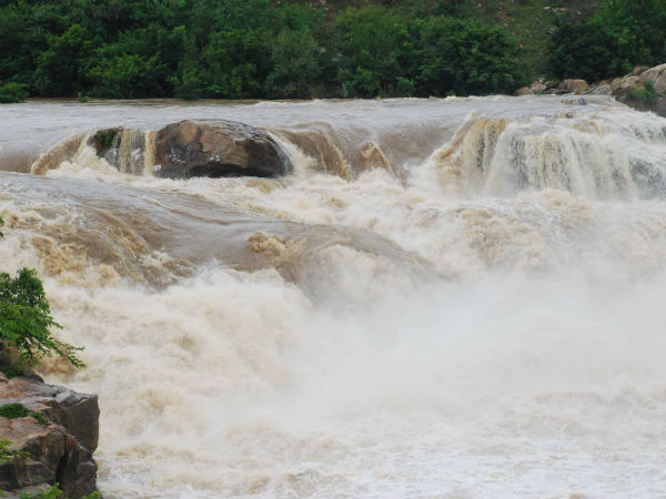 40 ಅಡಿಯಿಂದ ಧುಮ್ಮಿಕ್ಕುವ ಜಲಧಾರೆ