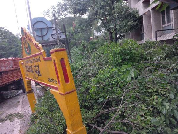 ಸರ್ಕಲ್ ಪಕ್ಕದ ರಸ್ತೆ ಹಸಿರುಮಯ 