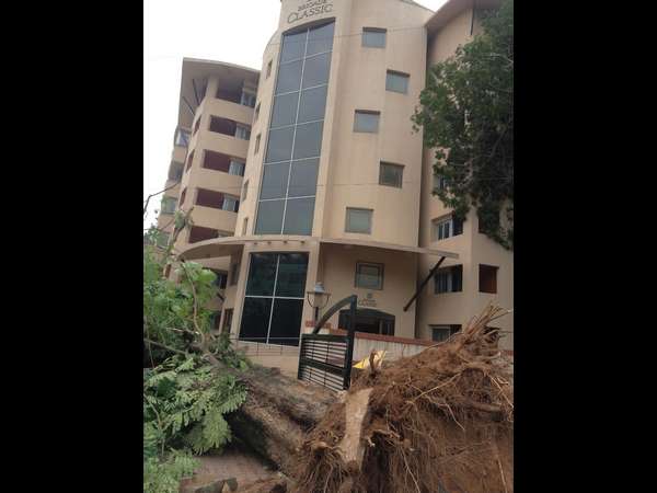 ಗೇಟ್ ಗೇ ಅಡ್ಡಲಾಗಿ ಬಿದ್ದ ಮರ 