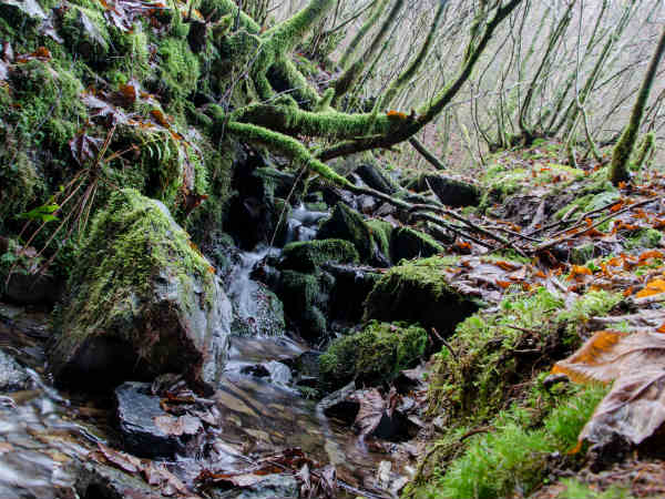 ನಂತರದ ಕಥೆಗೆ ಮುಂದಿನ ವಾರ ಕಾಯಿರಿ