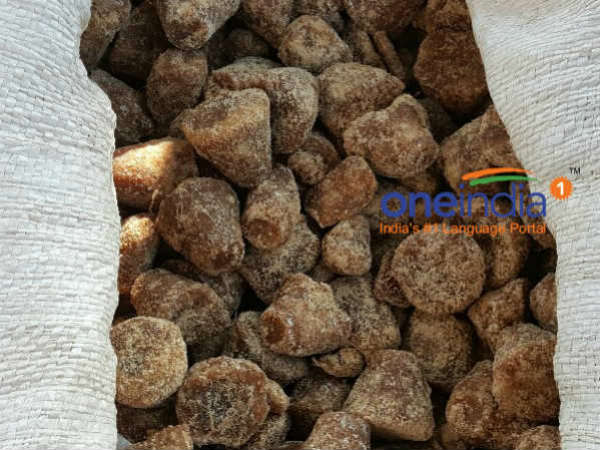  ಅತ್ಯಂತ ಲಾಭದಾಯಕ ಬೆಳೆ ಈ ತಾಳೆ ಬೆಳೆ