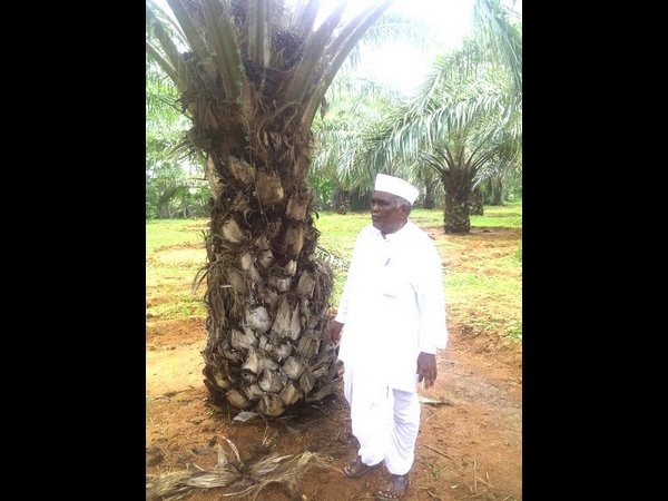  ನೀವೂ ತಾಳೆ ಬೆಳೆ ಬೆಳೆಯಲು ಸಂಪರ್ಕಿಸಬಹುದು