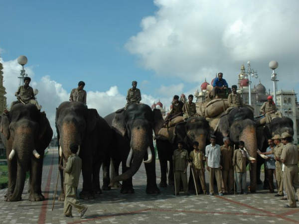 ಆನೆಗಳ ಜತೆಗೆ ಭಾವನಾತ್ಮಕ ಸಂಬಂಧ