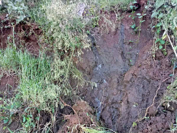 ವಹಿಸುವುದು ಅತ್ಯಗತ್ಯ