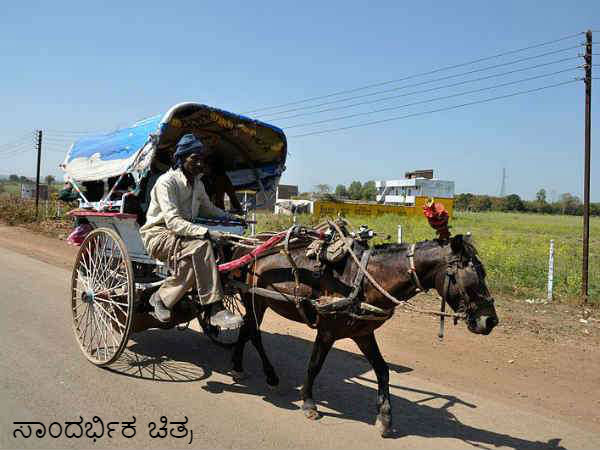 ಟಾಂಗಾ ಗಾಡಿಯ ಹಿಂದಿದೆ ವಿಶೇಷ ಕಥೆ ಟಾಂಗಾ ಗಾಡಿಯ ಹಿಂದಿದೆ ವಿಶೇಷ ಕಥೆ